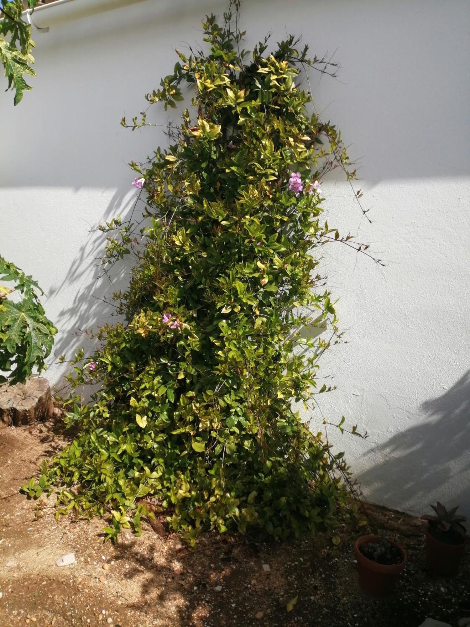Duas Casas De Ferias Medronhal Faro Em 520 - 2 Exterior foto